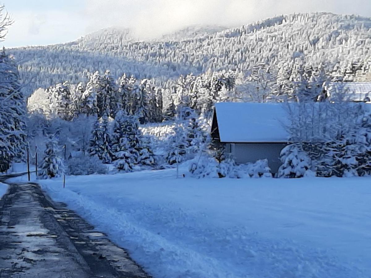 Chalet Waldstadl, Andrea'S Woidhaisl Arnbruck Eksteriør bilde