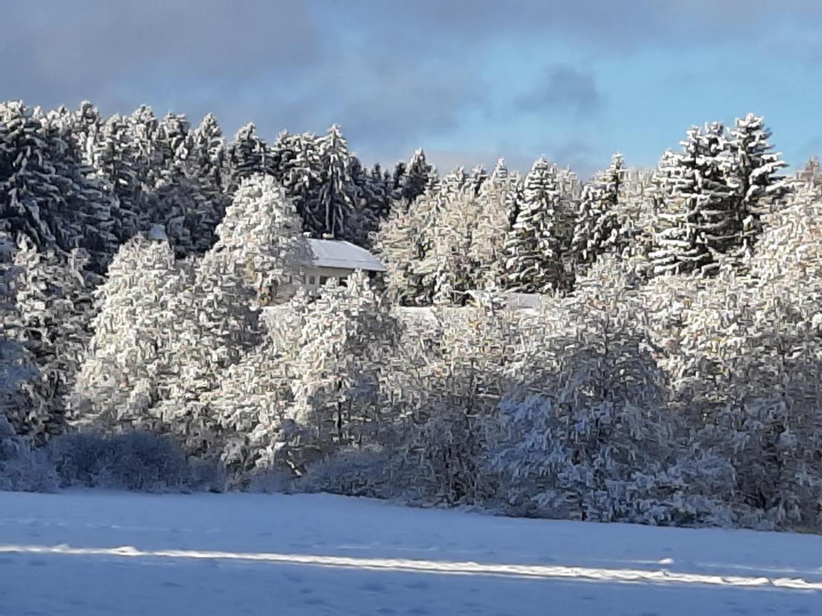 Chalet Waldstadl, Andrea'S Woidhaisl Arnbruck Eksteriør bilde
