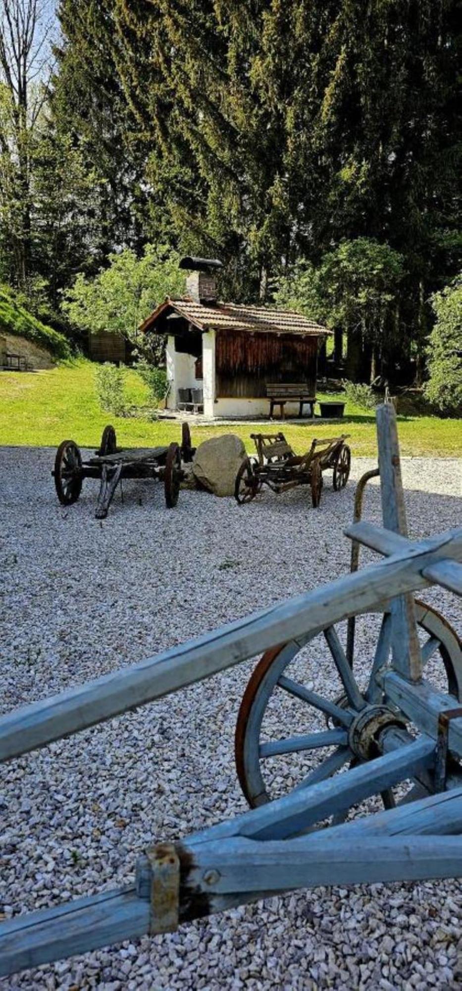 Chalet Waldstadl, Andrea'S Woidhaisl Arnbruck Eksteriør bilde